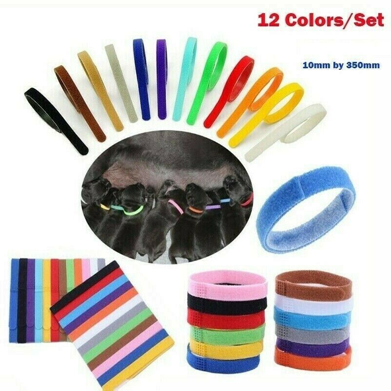 12 Whelping ID Collars Newborn Puppy & Kitten Identification Bands Breeder Nylon