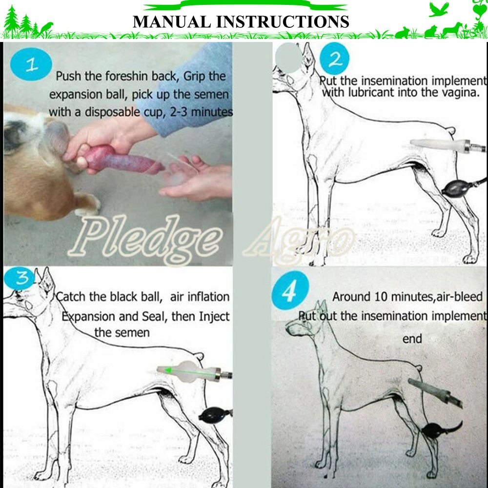 Dog Artificial Insemina Syringe Infusion Imitation Kit Dogs Natural Mating Tool