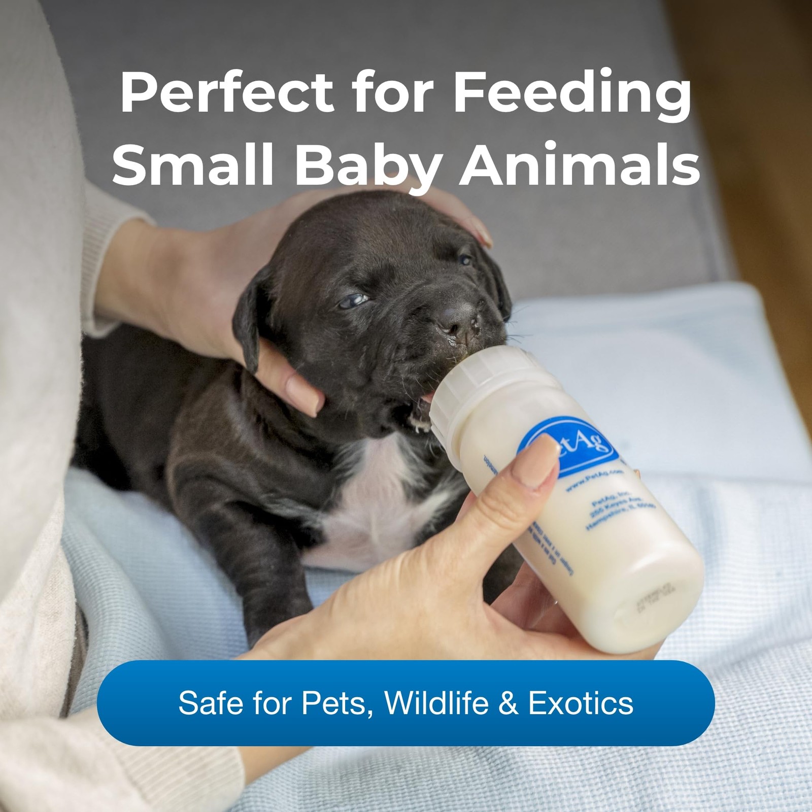 PetAg Nursing Kit – 2 oz, Pack of 2 – Promotes The 2 Ounce (Pack 2), Clear