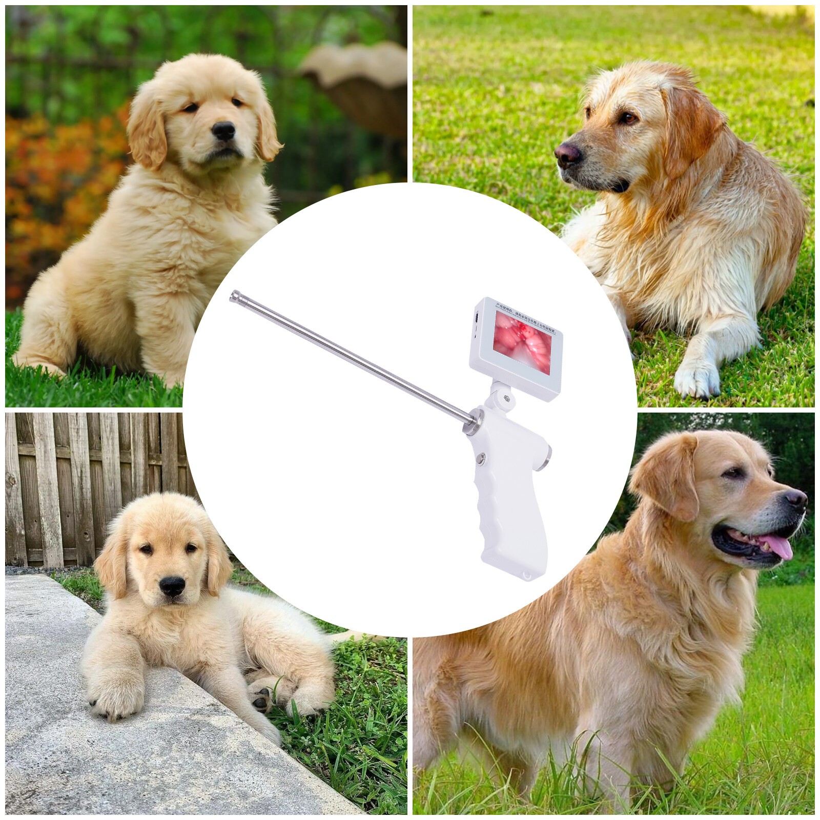 Visual Artificial Insemination AI Gun Breeding Device Dog Endoscope Breeding Kit