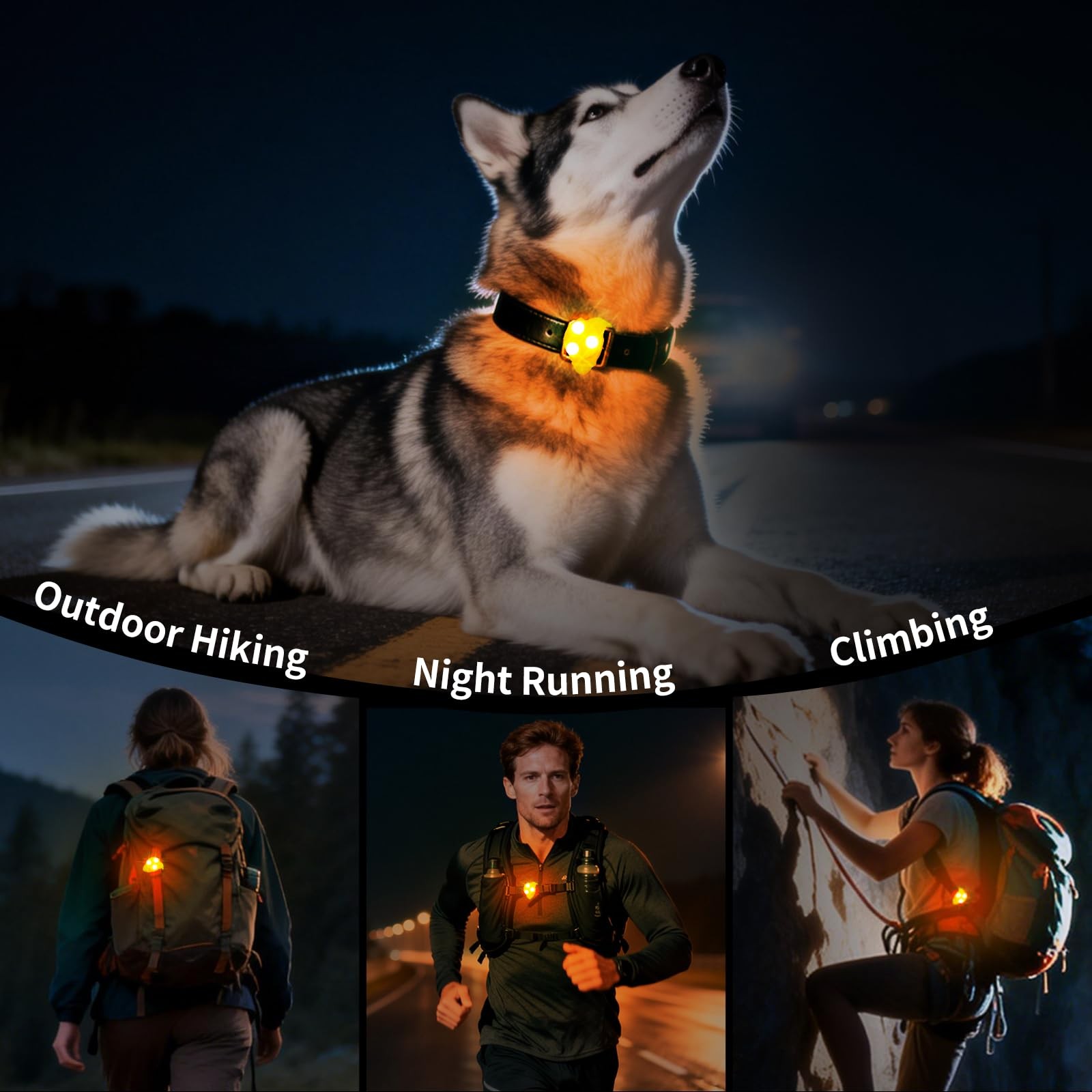 LaRoo Dog Lights for Night Walking, LED Dogs Collar Orange-A