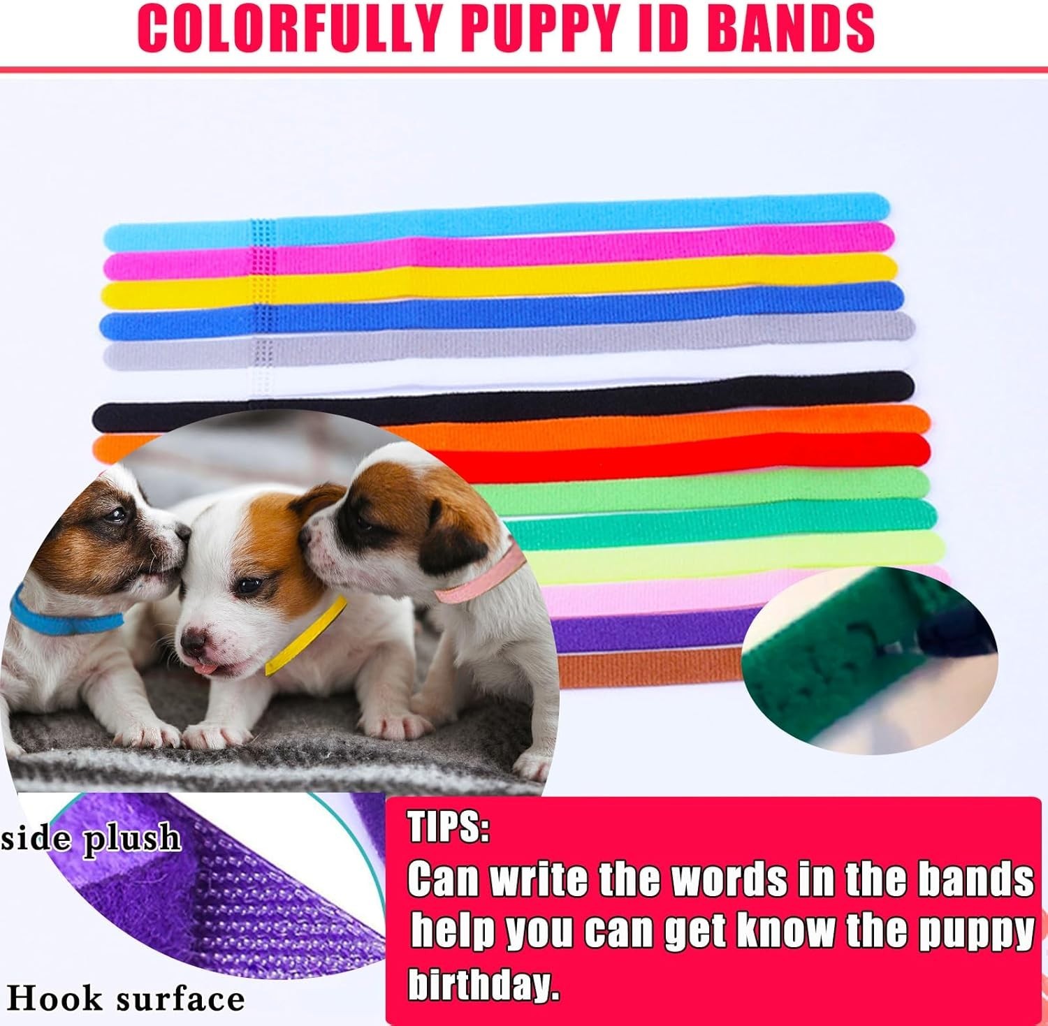Puppy Kitten Whelping Kit Newborn Whelping Supplies Nursing Feeding Bottle Kit
