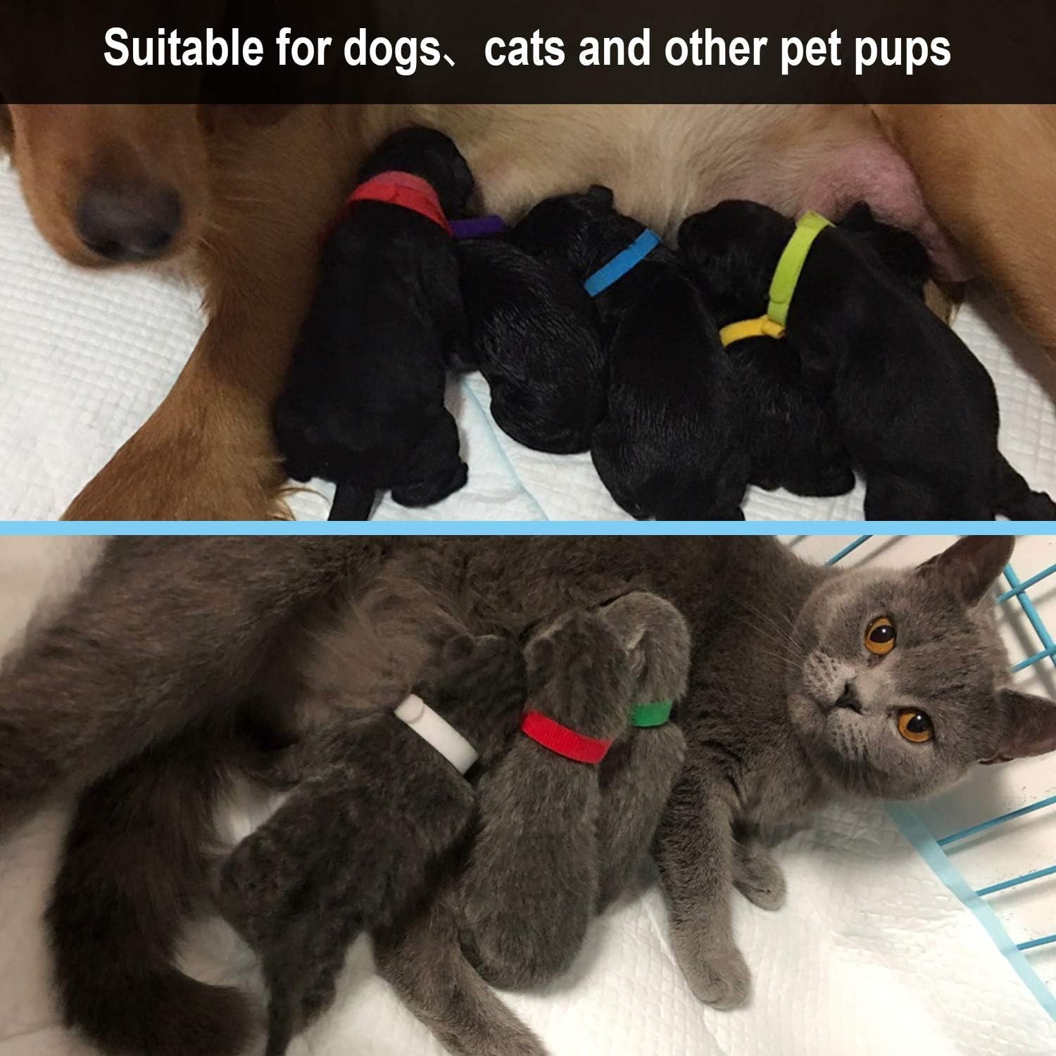 15 Colors Puppy Whelping Collars – Soft, Adjustable ID Bands for Small Breeds
