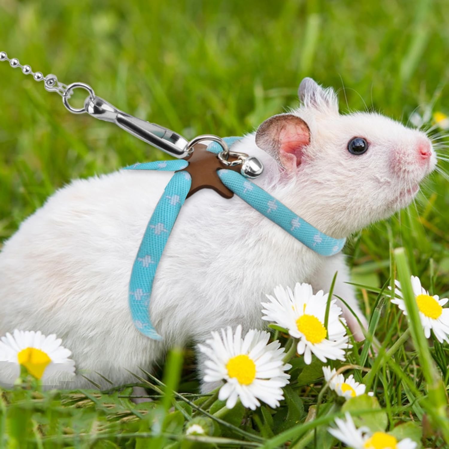 Hamster Adjustable Training Lead Leash Nylon for Hamster Rat Squirrel Gerbil …