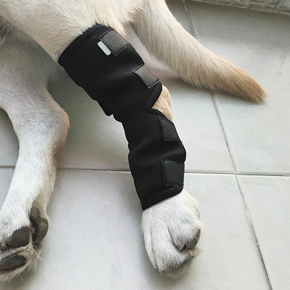 AS Pet Dog Leg Recovery Bandage Soft Elastic Wound Protection Black Brace Cover