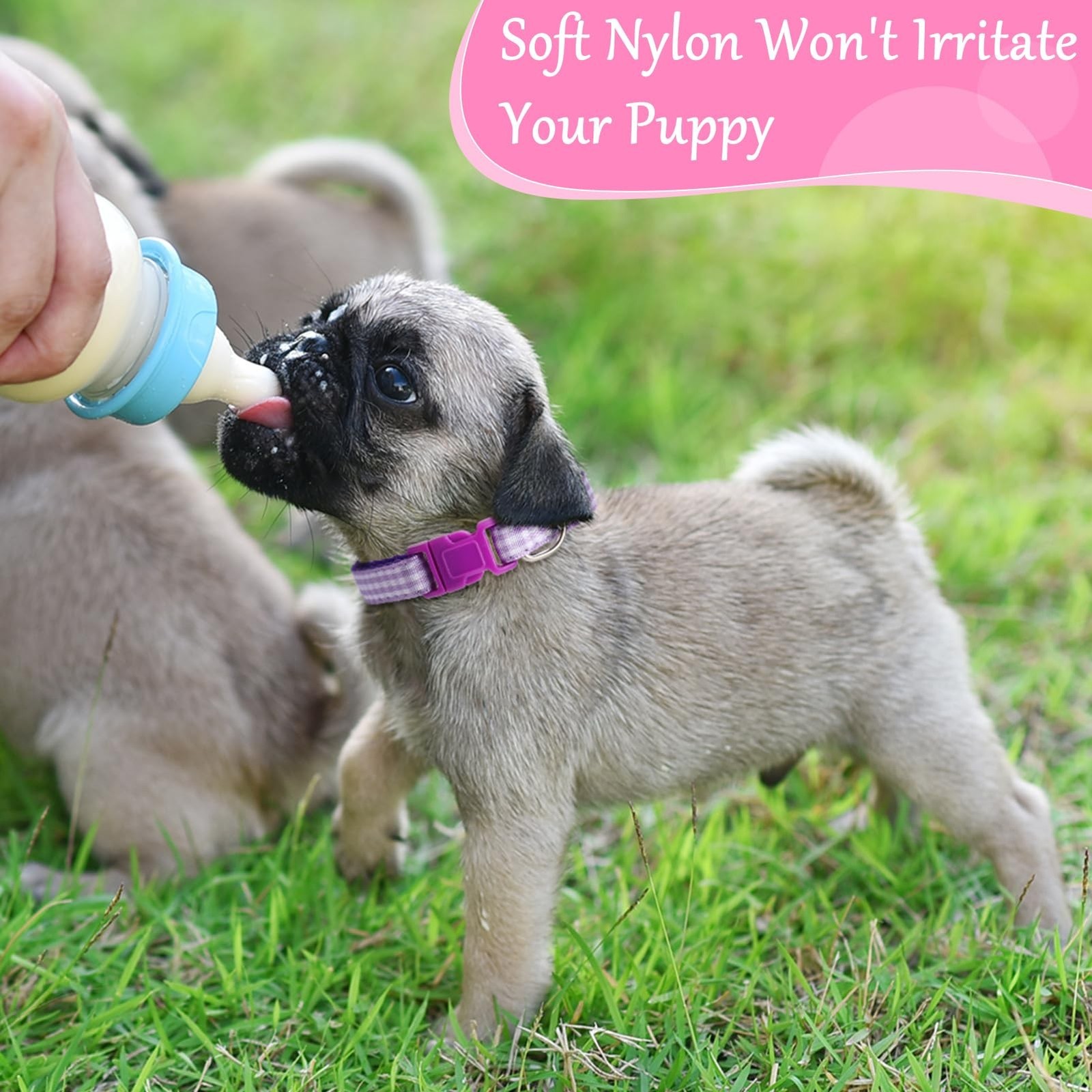 Auidy_6TXD 14pcs Puppy Collars for Litter Adjustable Whelping Puppy Collars S…