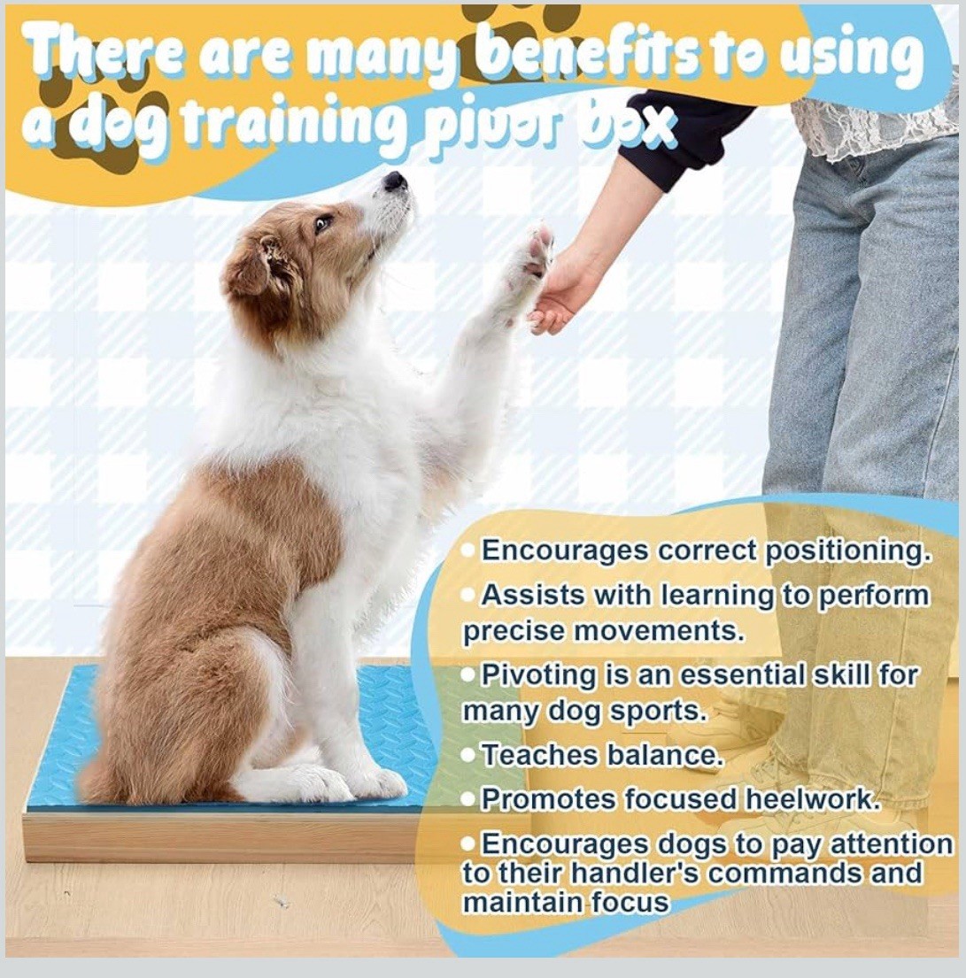 Chunful Dog Training Wood Platform NonSkid Surface Place 21.65×13.78×2.36in Blue