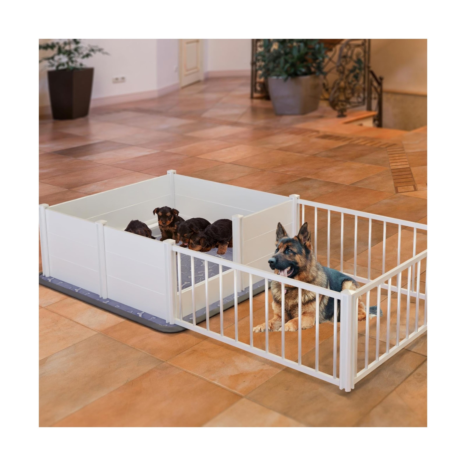 Whelping Box,Whelping Box for Dogs with Washable Puppy Pads, Double Rooms Whe…