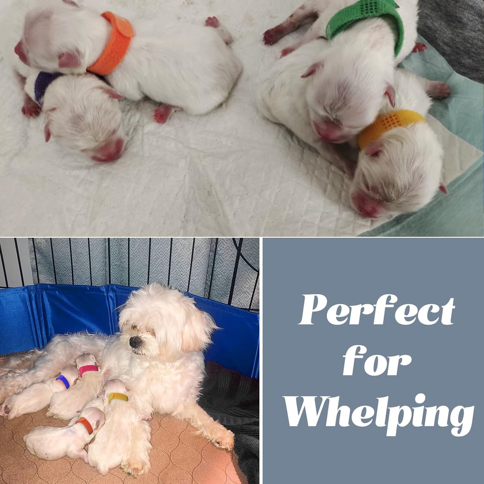 Artilife Whelping Pen for Dogs,Whelping Box 32inch Dia.x8inch H(80x20cm), Red