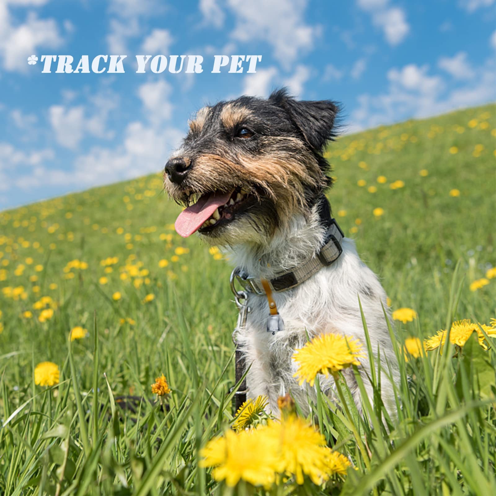IVIA PET Dog Collar Copper Bell Pet Tracker Noise Medium, Silver