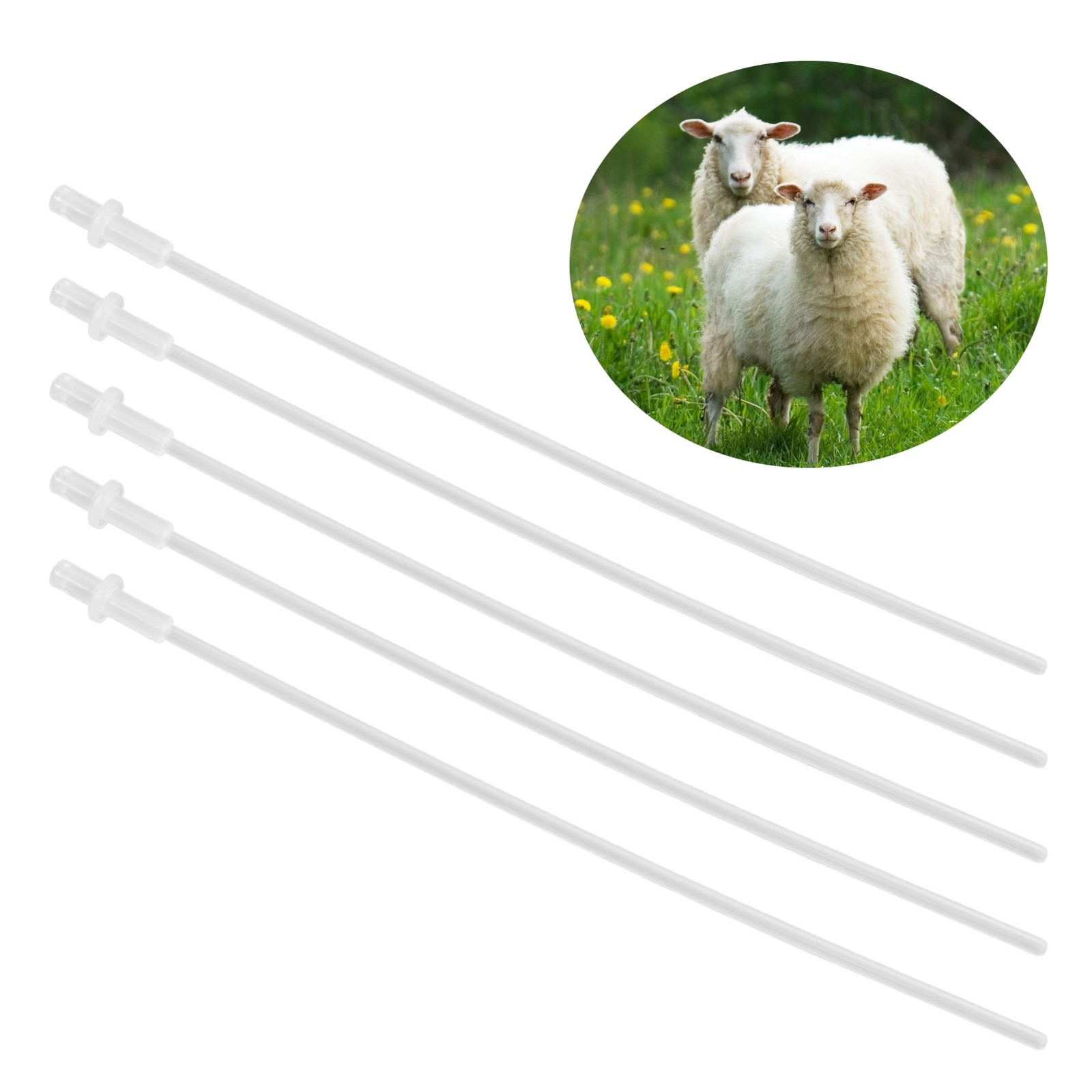 50PCS 10in Artificial Insemination Rod Transparent Disposable Insemination T-DSO