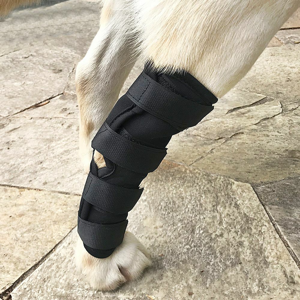 AS Pet Dog Leg Recovery Bandage Soft Elastic Wound Protection Black Brace Cover