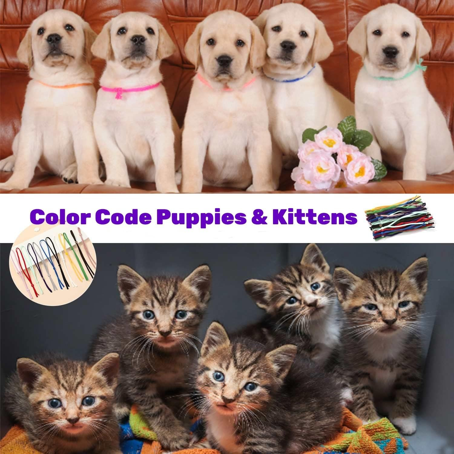 Stretchy Puppy Collars for Litter, 75Pcs Assorted Adjustable Identification Loop