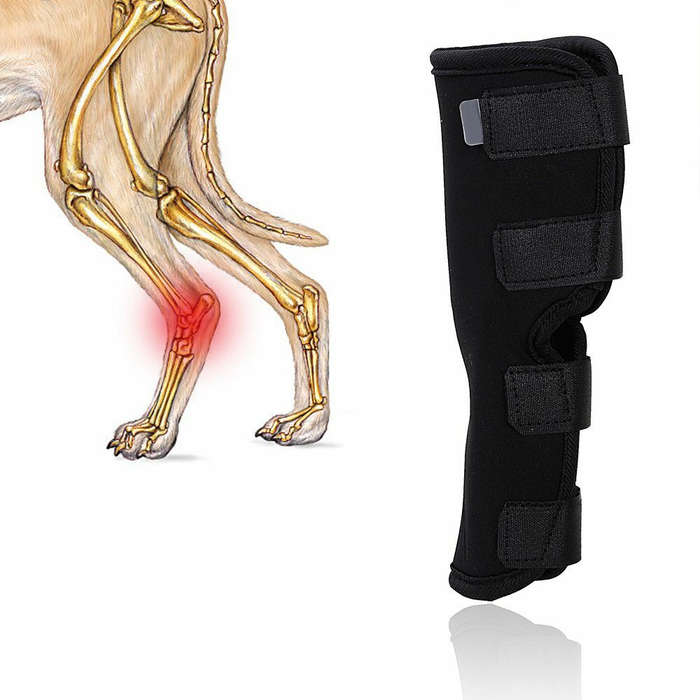 AS Pet Dog Leg Recovery Bandage Soft Elastic Wound Protection Black Brace Cover