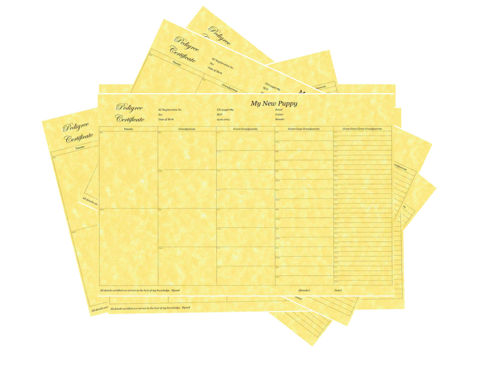 5 Generation Pedigree Form Certificate Printed on Quality Paper Puppy Breeder X6