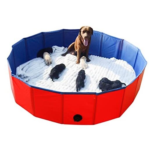 Whelping Pen for Dogs,Whelping Box for Dogs 63inch Dia.x12inch H(160x30cm) Red