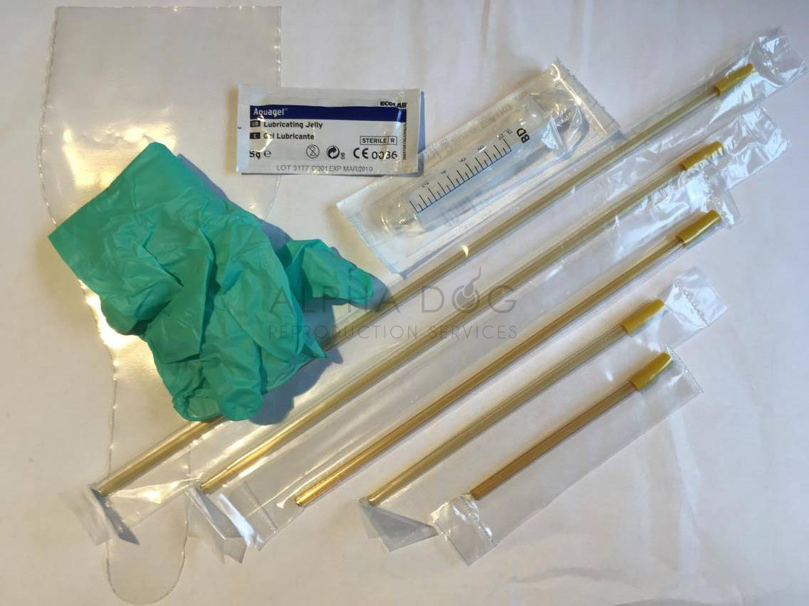 Flex Tip Canine Artificial Insemination AI Kit Alpha Dog Breeder Rods All Sizes