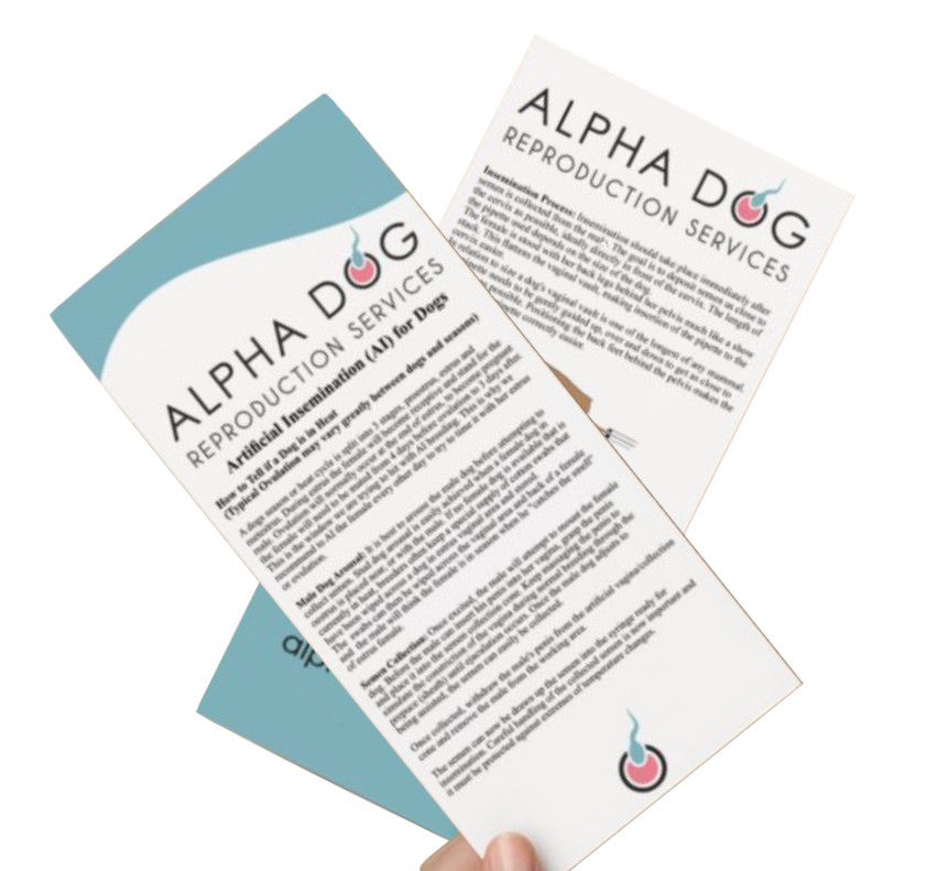 20 Dog Artificial Insemination Tubes, Canine AI Breeding Supplies – Kit Optional