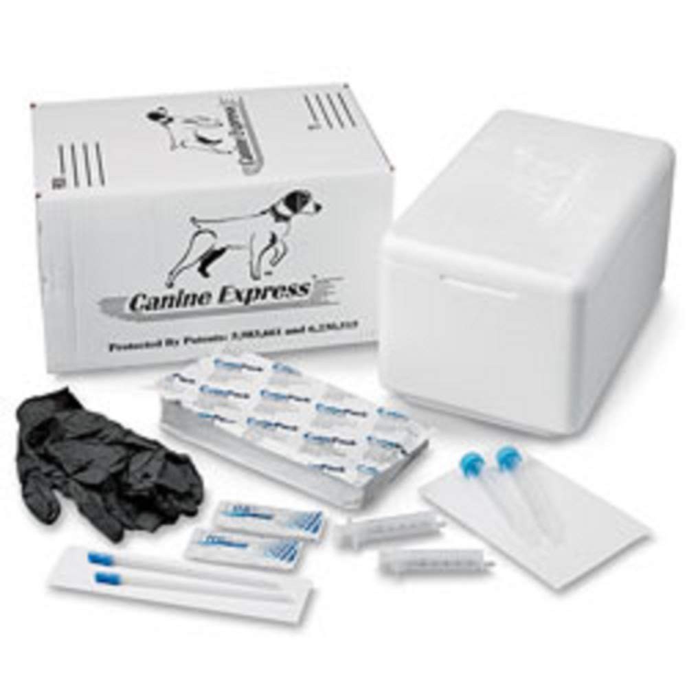 Disposable Canine Semen Transport Bags – Safe, Sterile, Easy to Use, 10 Pack