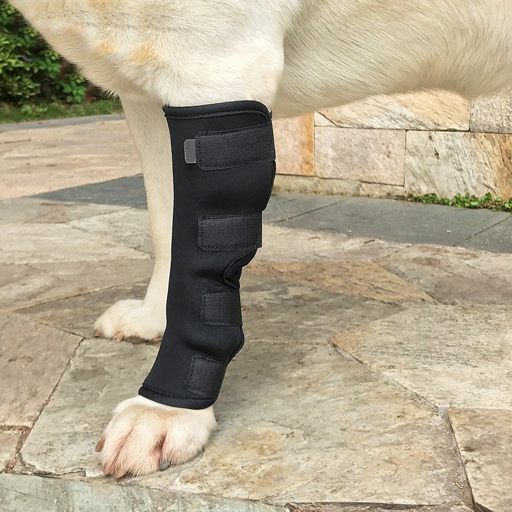 AS Pet Dog Leg Recovery Bandage Soft Elastic Wound Protection Black Brace Cover
