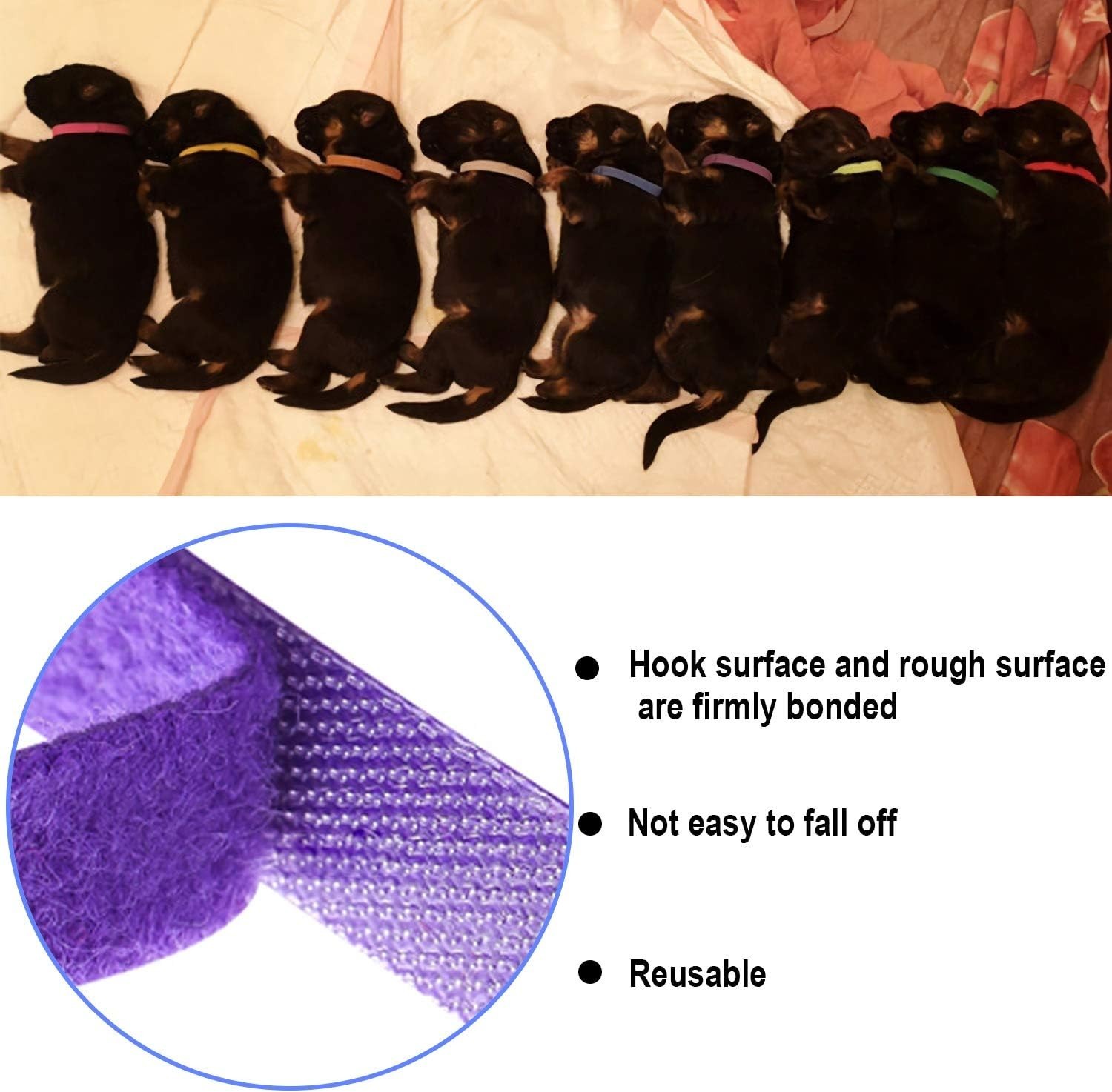Comfortable Double-Sided Whelping Collars – 15 Colors for Newborn Dogs & Cats
