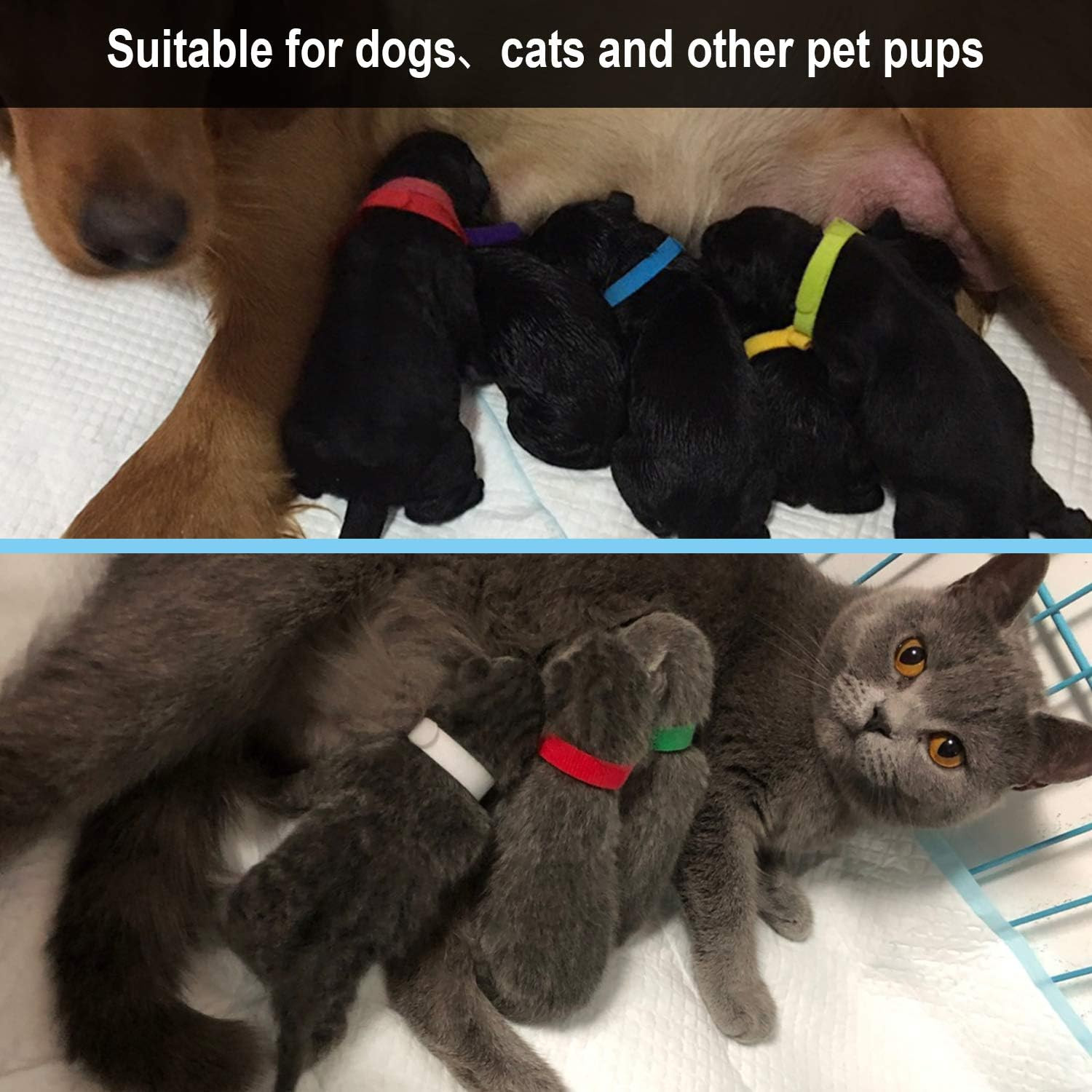 Newborn Puppy Litter Whelping Collars Puppies Supplies Identification Dog Cat ID