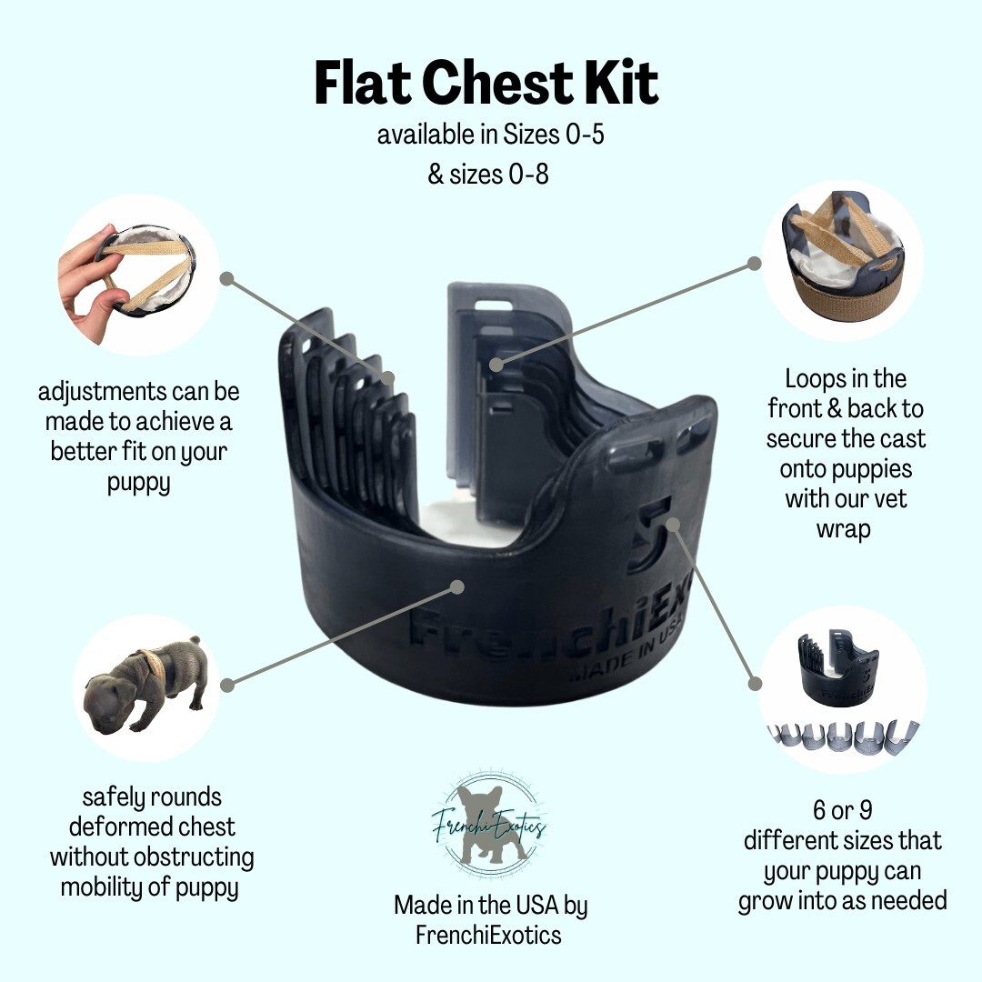 Newborn Puppy Flat Chest Kit: Whelping Essential, Sizes 0-5