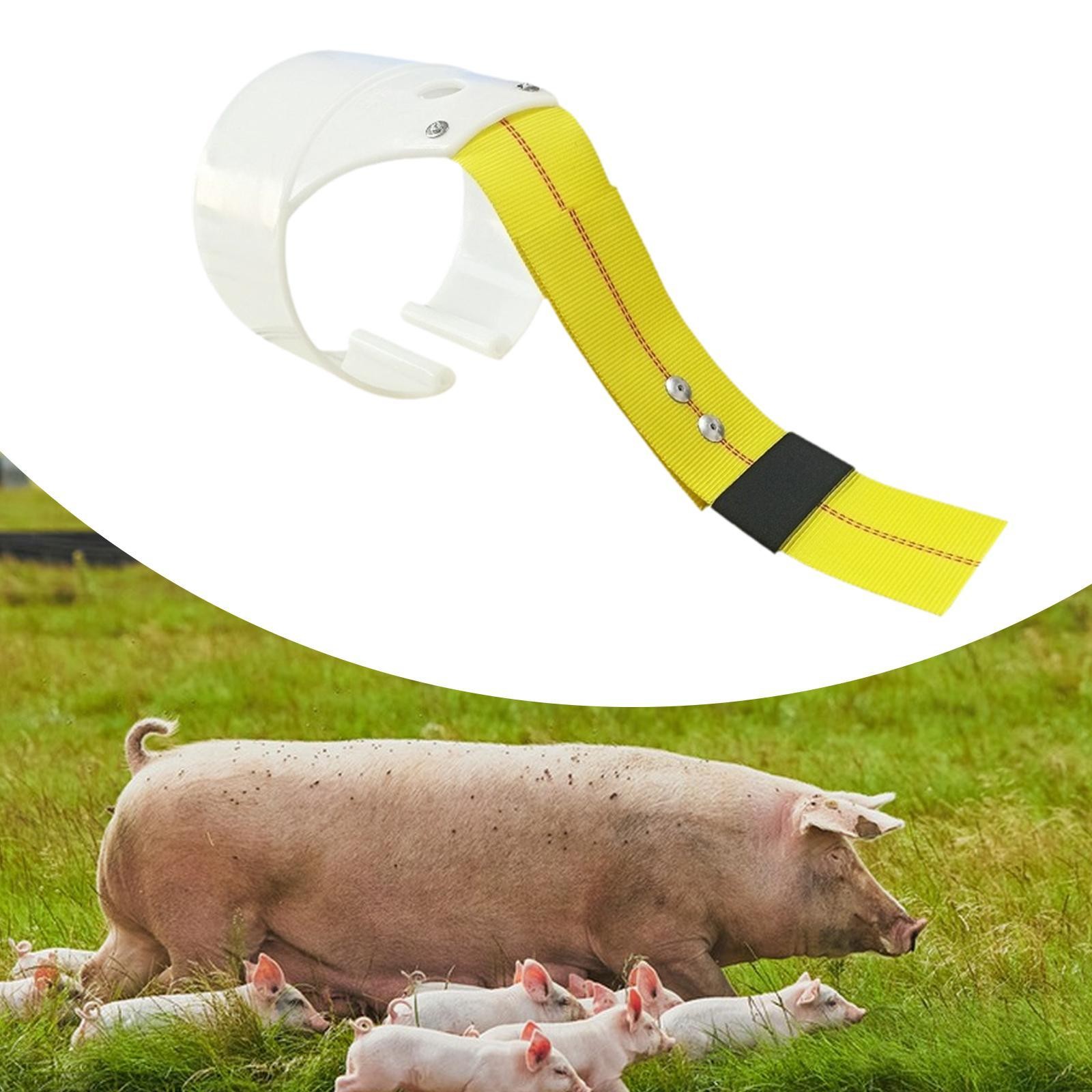 Pig Insemination Back Clamp Tool Pig Breeding Supplies Farm Animals Support