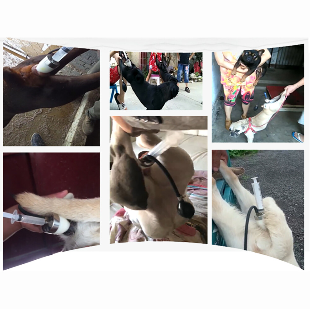 Professional Dogs Artificial Insemina Syringe Dog Imitation Natural Mating Tool