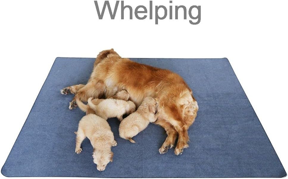 Whelping Box Liner 48 x 60 Absorbent Machine Washable Waterproof Puppy Mat Pad