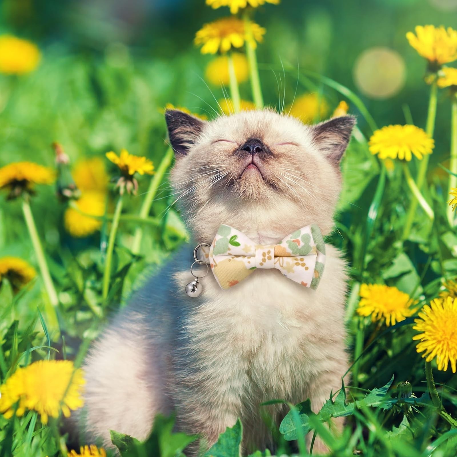 6 PCS Cat Collars with Bow Tie and Bell,Cat Collars Plaid,Breakaway Adjustabl…