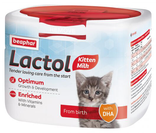 Lactol Kitten Milk 250g & Feeding Bottle Syringe & Teats Cat Whelping Kit Kitty