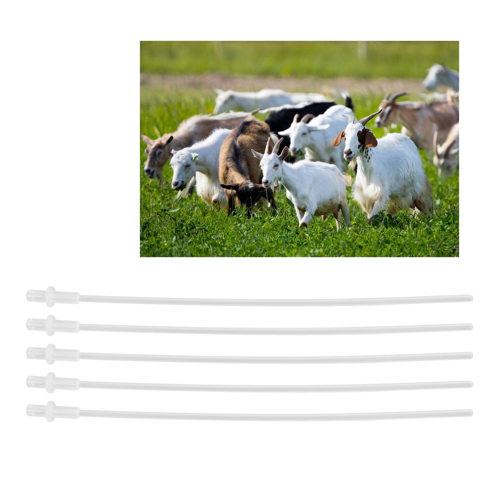 50PCS 10in Artificial Insemination Rod Transparent Disposable Insemination T-DSO