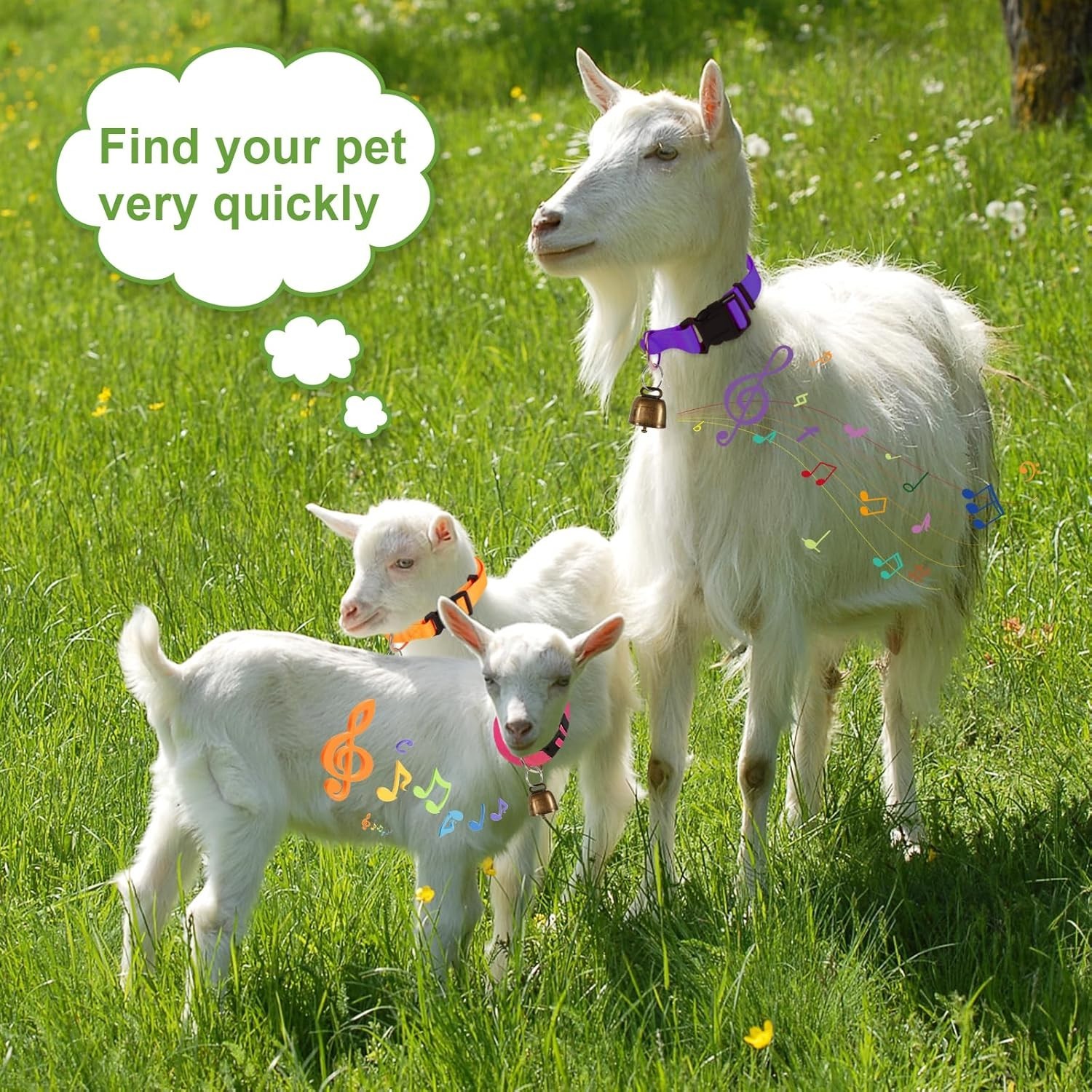 8 Pack Goat Adjustable Nylon Collars with Grazing Copper Bells