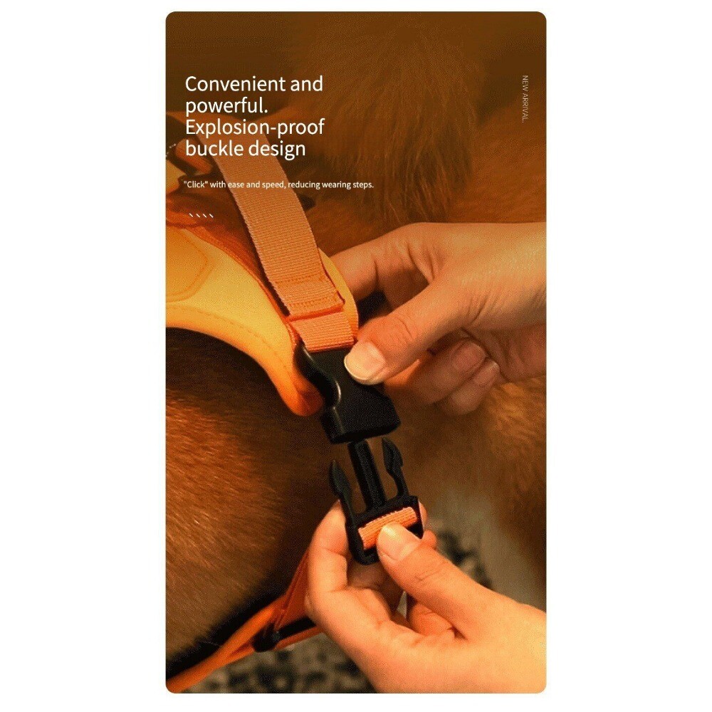 Dog Vest Traction Rope with Chest Back Integration – Elastic and Expansion-proof