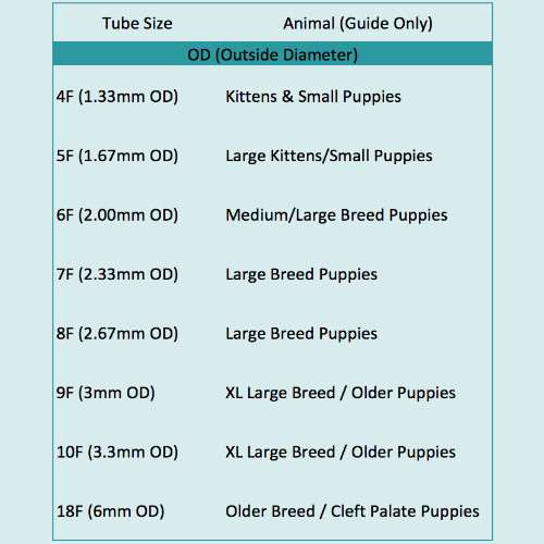 Whelping Breeder Pack 4 Feeding Tubes 10ml Syringes Pup Kitten Cleft 4f 5f 6f 8f