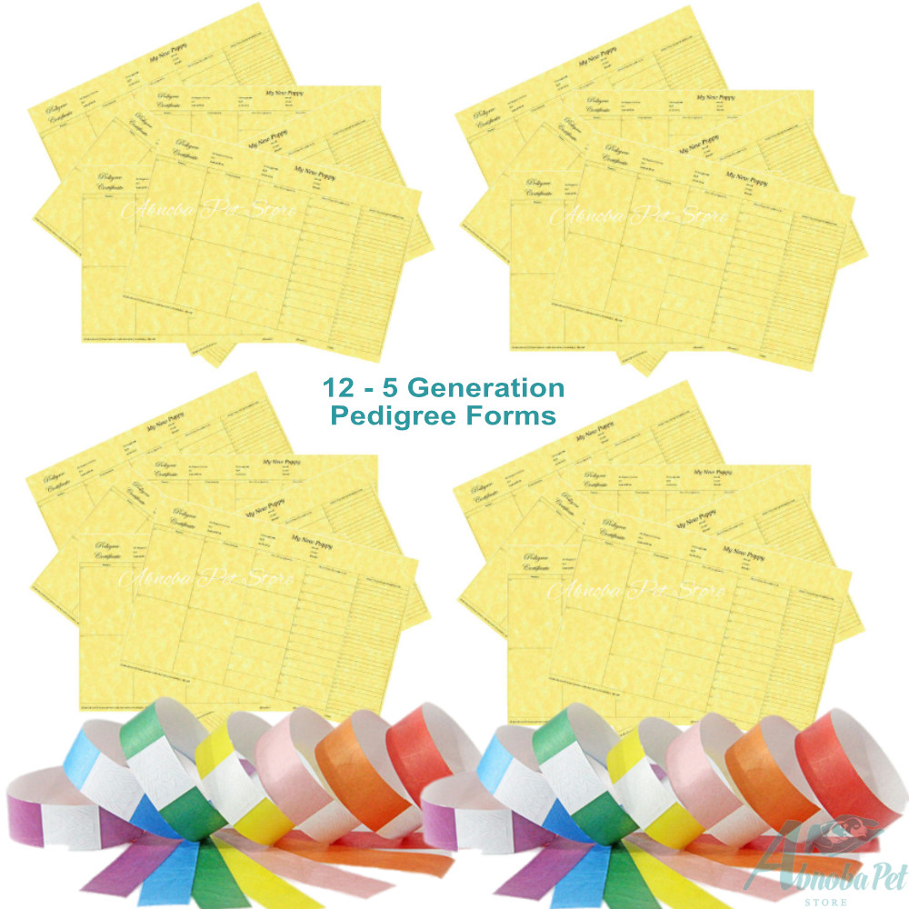12 – 5 Generation Pedigree Forms Quality Certificates Puppy Breeder & ID Collars