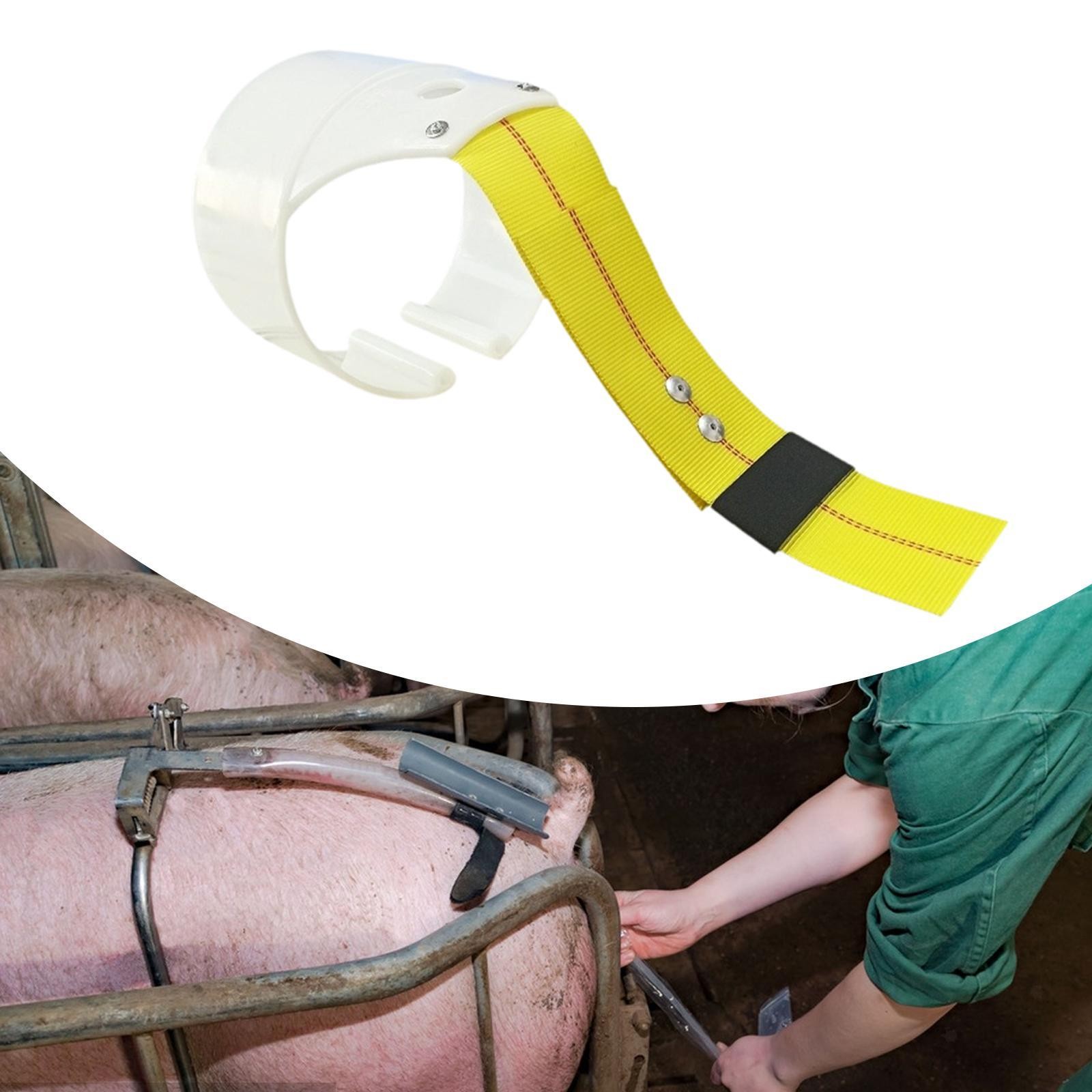 Pig Insemination Back Clamp Tool Pig Breeding Supplies Farm Animals Support