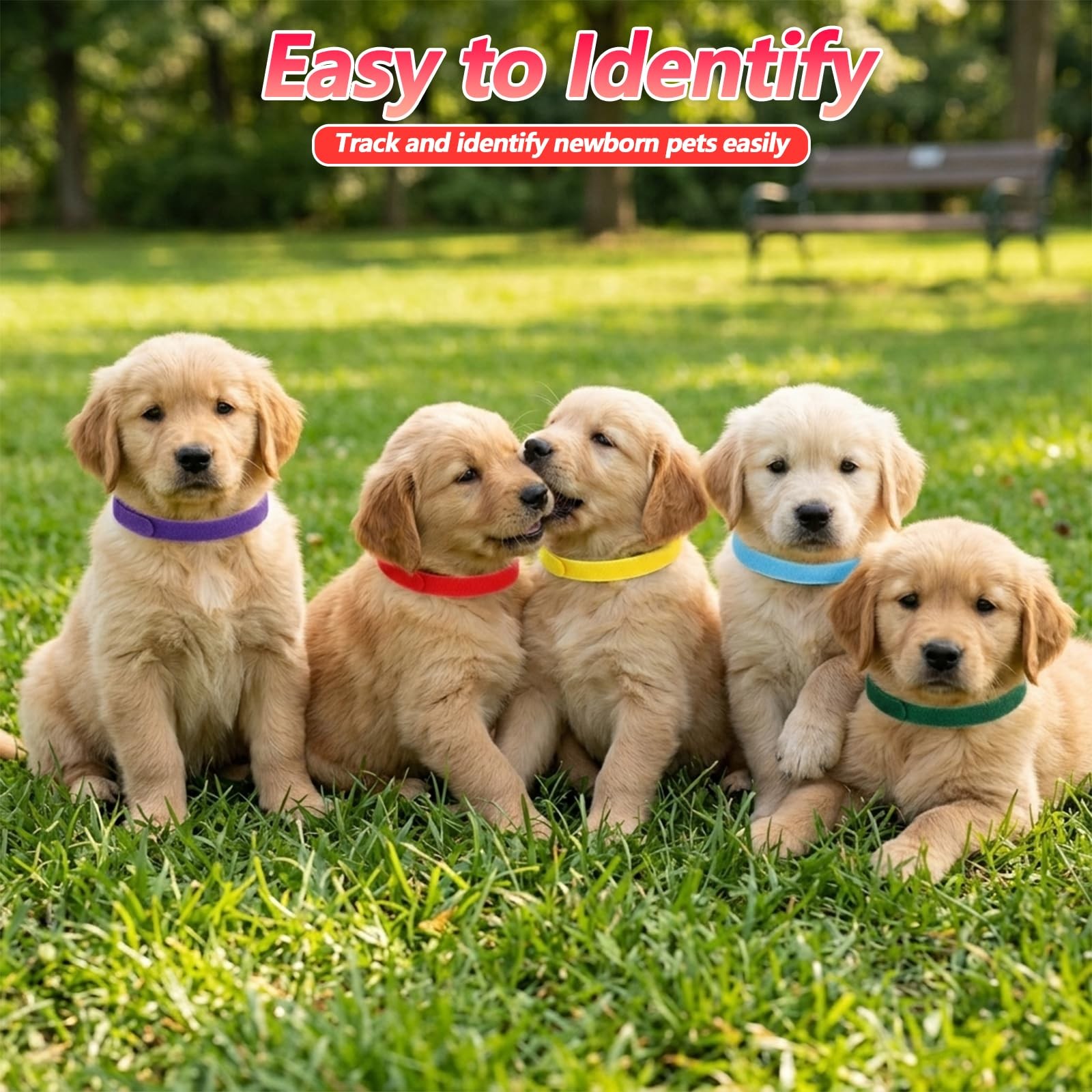 30 Pcs Newborn Puppy Collars 11.81 Inch Puppy Whelping Collars Double-Sided S…