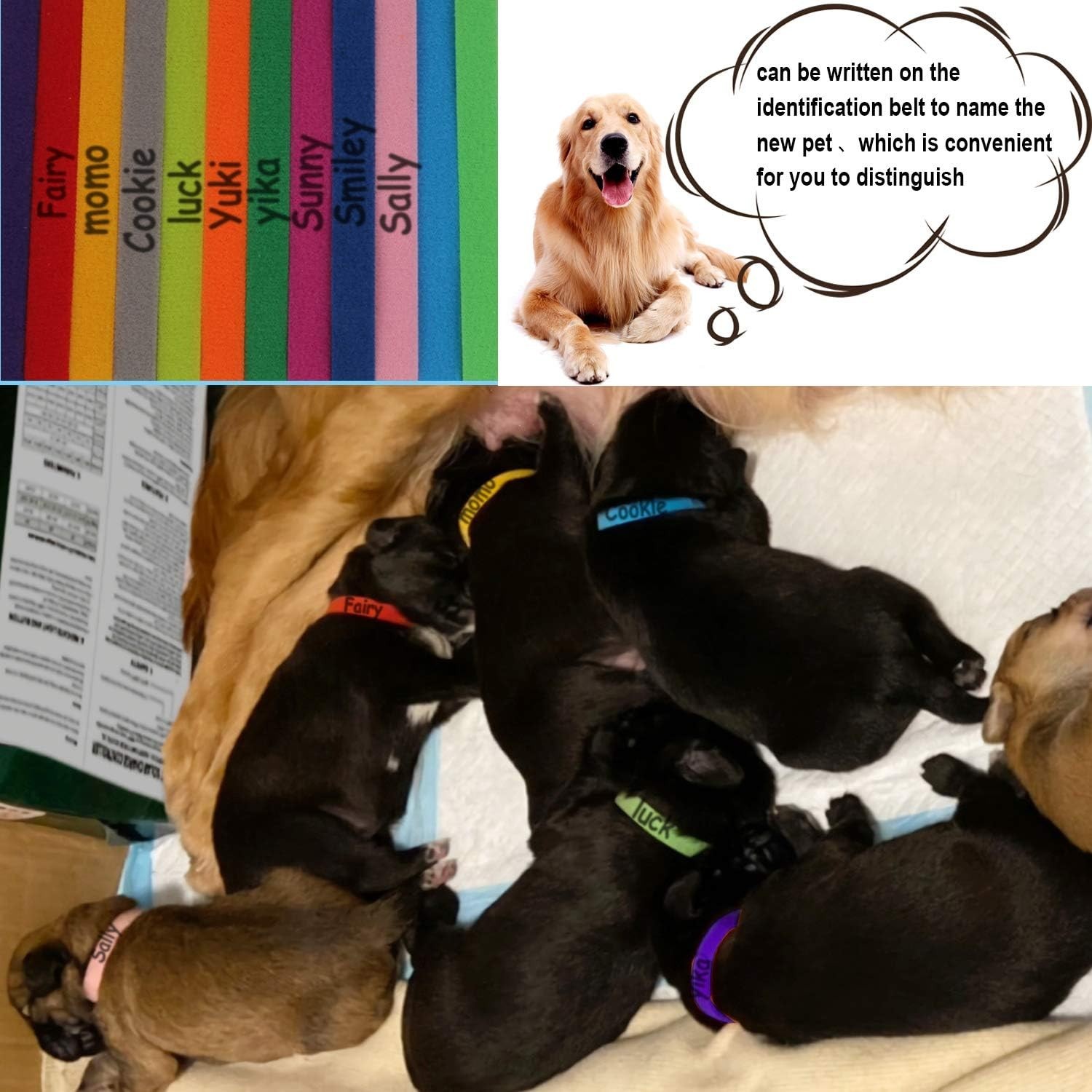Comfortable Double-Sided Whelping Collars – 15 Colors for Newborn Dogs & Cats