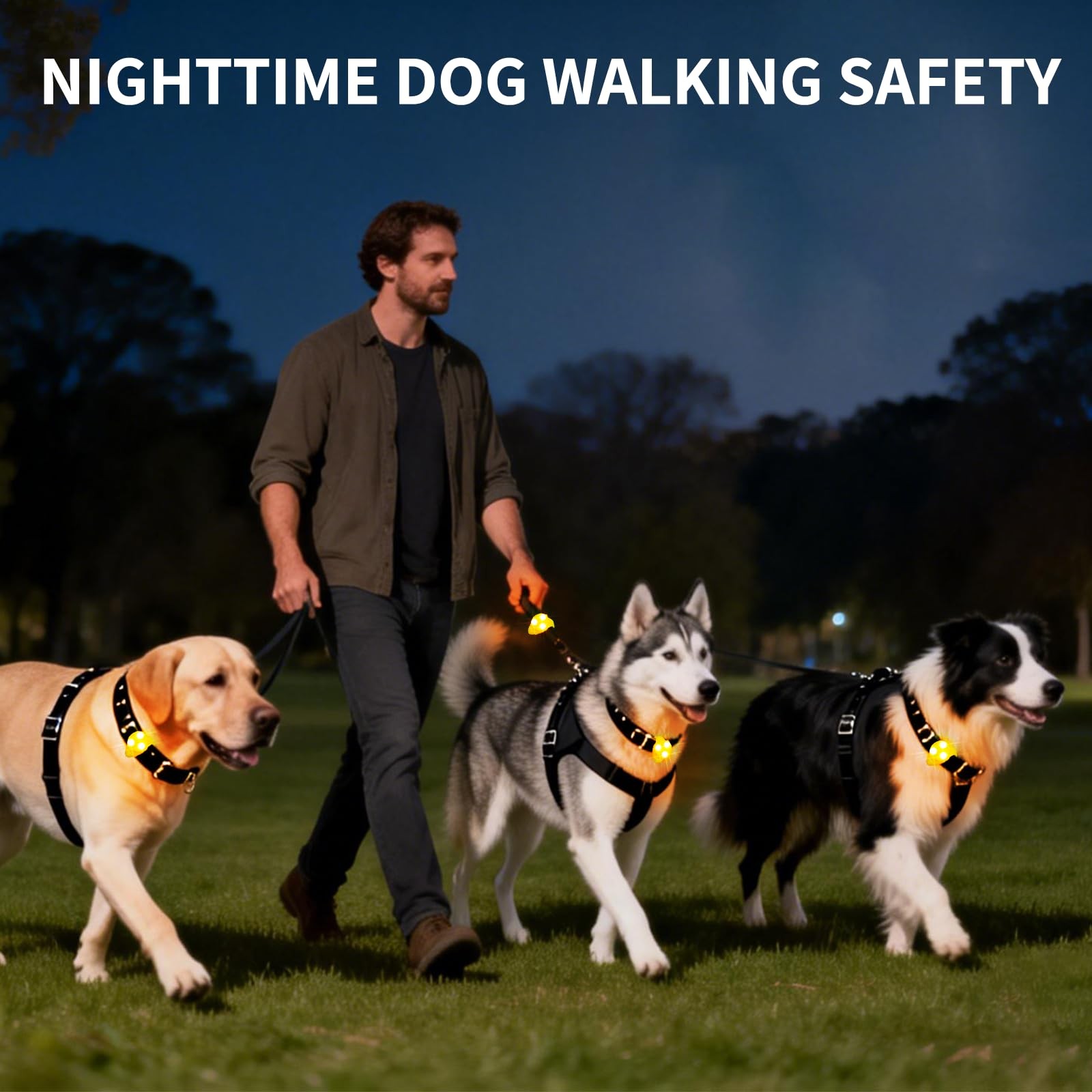 LaRoo Dog Lights for Night Walking, LED Dogs Collar Orange-A