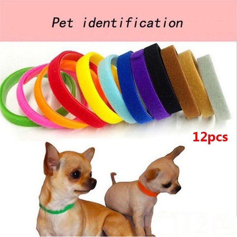 12 Whelping ID Collars Newborn Puppy & Kitten Identification Bands Breeder Nylon