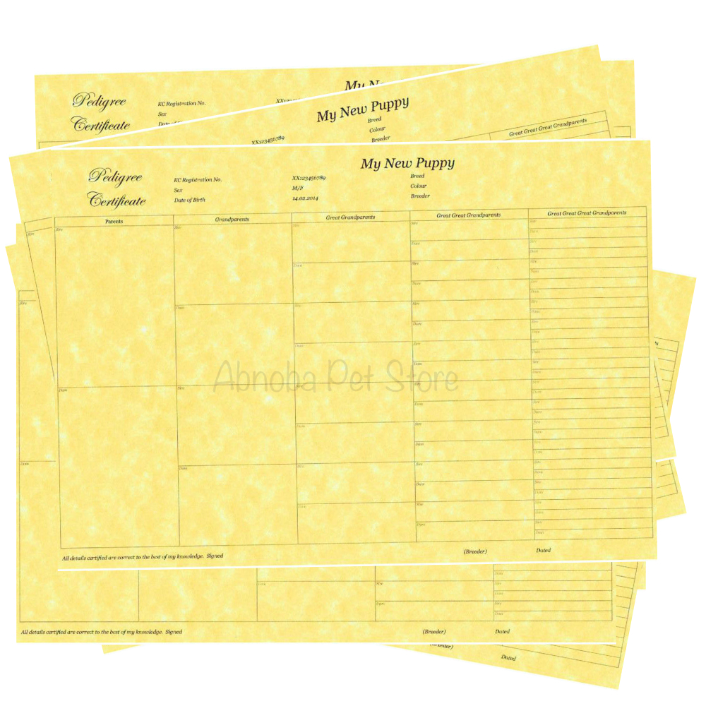 5 Generation Pedigree form Certificate Printed on Quality Paper Puppy Breeder 10