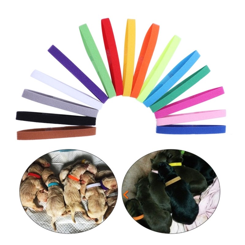 Colorful Puppy Whelping Collars Newborn Pet ID Soft Bands 3 Sizes Adjustable 15x