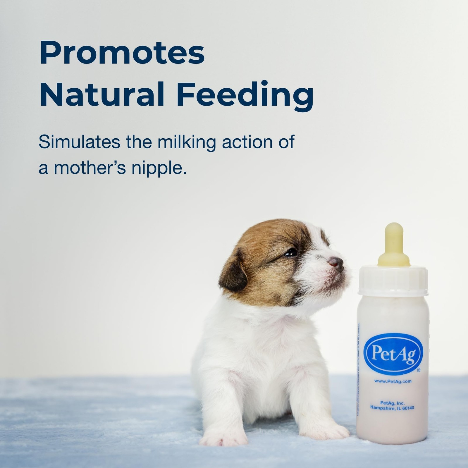 PetAg Nursing Kit – 2 oz, Pack of 2 – Promotes The 2 Ounce (Pack 2), Clear