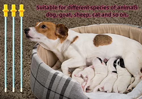 10 Set Dog Breeding Kit – AI Artificial Insemination Supplies for Medium Breeds