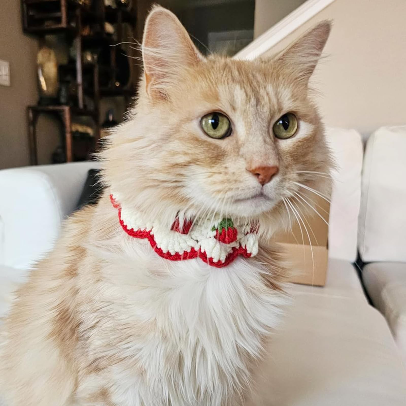 Breakaway Cat Collar Bow Tie Strawberry Pattern Bandana White Kitten S