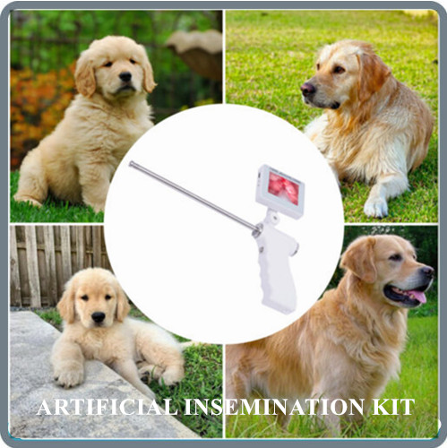 Insemination Kit for Dog Visual Insemination Gun 340mm W/Adjustable Screen