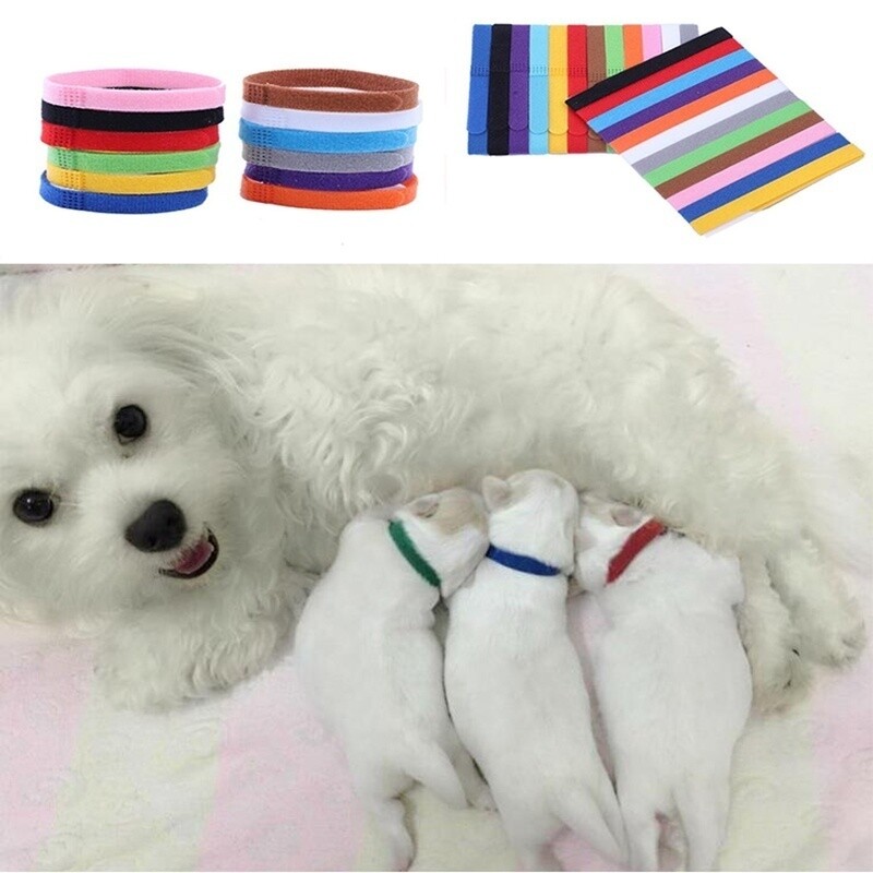 12 Whelping ID Collars Newborn Puppy & Kitten Identification Bands Breeder Nylon