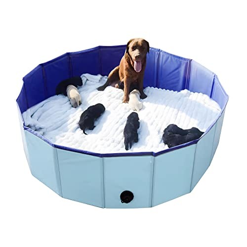 Whelping Box for Dogs Welp Box Diameter: 47 inches x Height: 12 inches Blue
